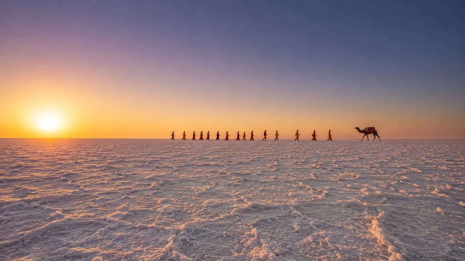 Guided sunrise walk on the White Rann salt flats at dawn during Rann Utsav 2026-27